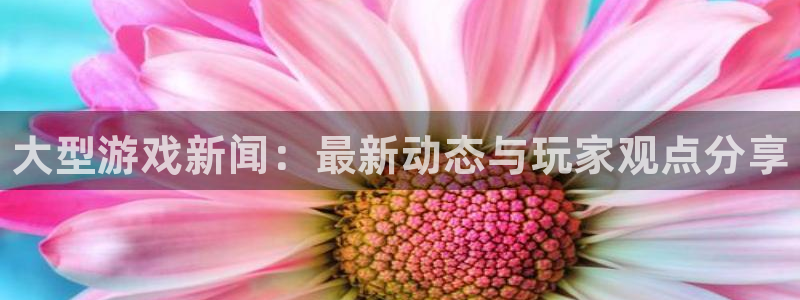 赢咖娱乐在线登录：大型游戏新闻：最新动态与玩家观点分享