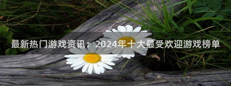 赢咖娱乐app下载|下载地址：最新热门游戏资讯：2024年十