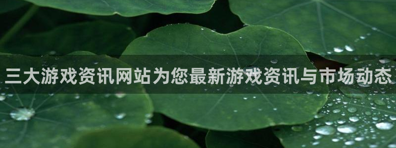 赢咖娱乐平台注册：三大游戏资讯网站为您最新游戏资讯与市场动态