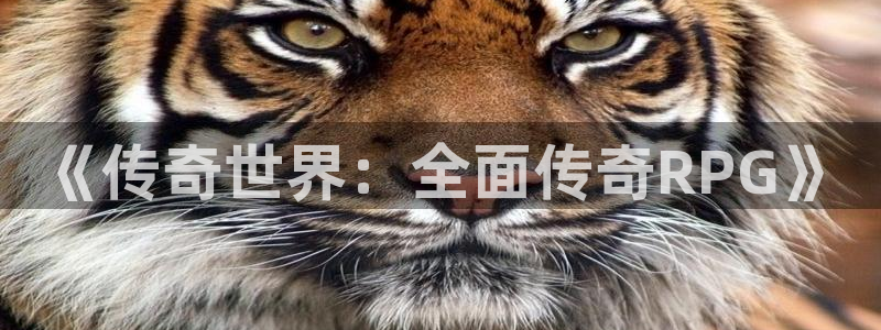 赢咖娱乐注册开户：《传奇世界：全面传奇RPG》