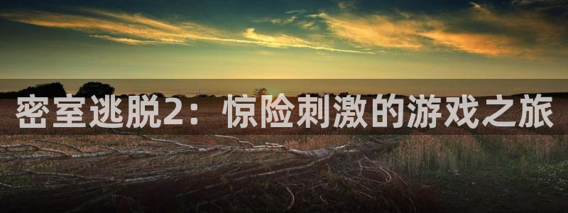 赢咖娱乐平台官方网站：密室逃脱2：惊险刺激的游戏之旅