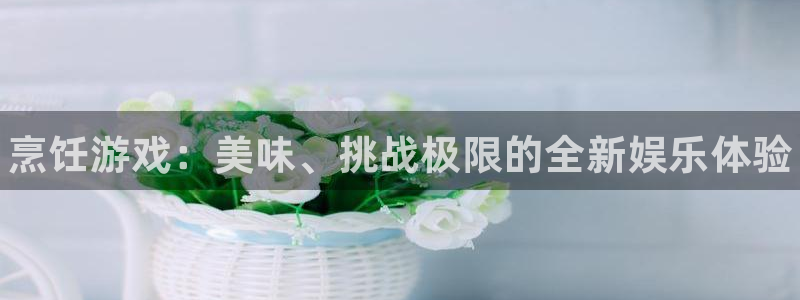 赢咖娱乐下载链接：烹饪游戏：美味、挑战极限的全新娱乐体验