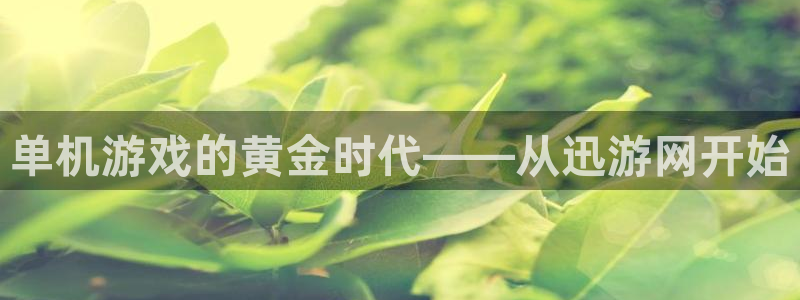 赢咖娱乐平台登录入口：单机游戏的黄金时代——从迅游网开始