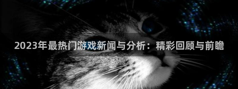 赢咖娱乐平台官网登录：2023年最热门游戏新闻与分析：精彩回