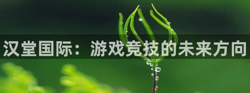 赢咖娱乐app：汉堂国际：游戏竞技的未来方向