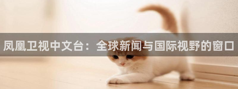雨燕体育直播吧免费观看