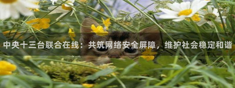 直播吧nba直播吧在线直播免费观看：中央十三台联合在线：共筑网络安全屏障，维护社会稳定和谐