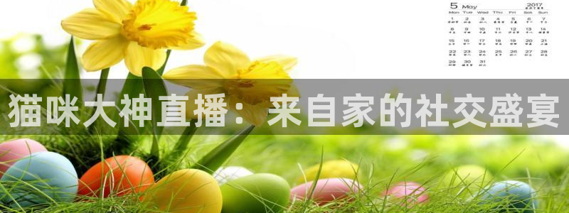 jrs乐球直播吧：猫咪大神直播：来自家的社交盛宴
