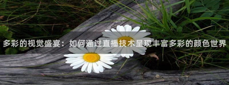 体育直播吧下载：多彩的视觉盛宴：如何通过直播技术呈现丰富多彩的颜色世界