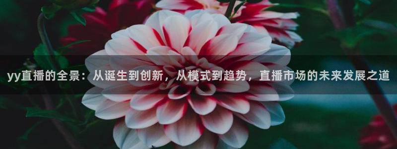 nba直播吧在线直播观看免费：yy直播的全景：从诞生到创新，从模式到趋势，直播市场的未来发展之道