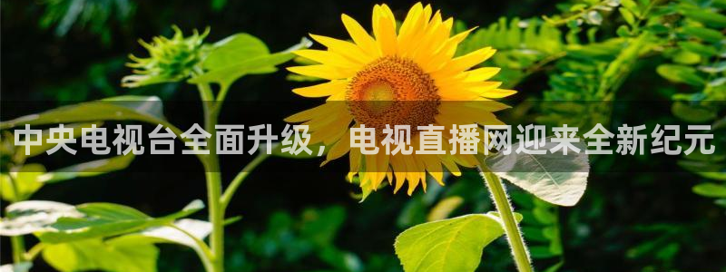 英超直播吧在线直播：中央电视台全面升级，电视直播网迎来全新纪元
