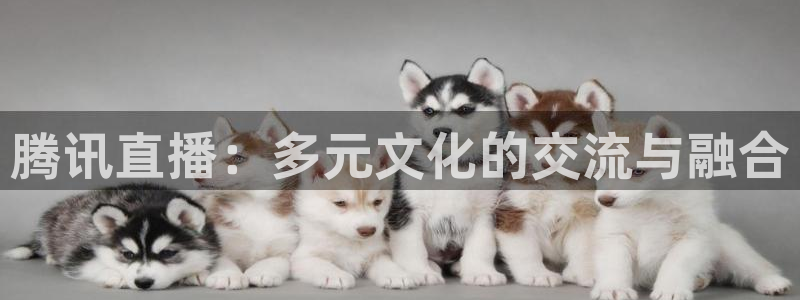 直播吧nba直播：腾讯直播：多元文化的交流与融合