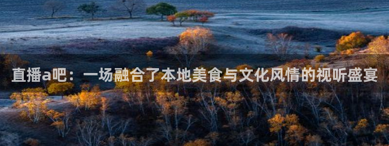 nba直播吧免费观看：直播a吧：一场融合了本地美食与文化风情的视听盛宴