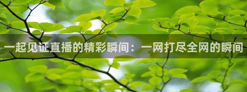 直播吧8直播足球：一起见证直播的精彩瞬间：一网打尽全网的瞬间