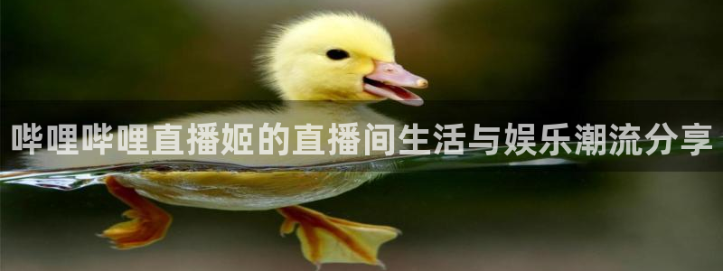 360体育直播吧在线直播观看：哔哩哔哩直播姬的直播间生活与娱乐潮流分享