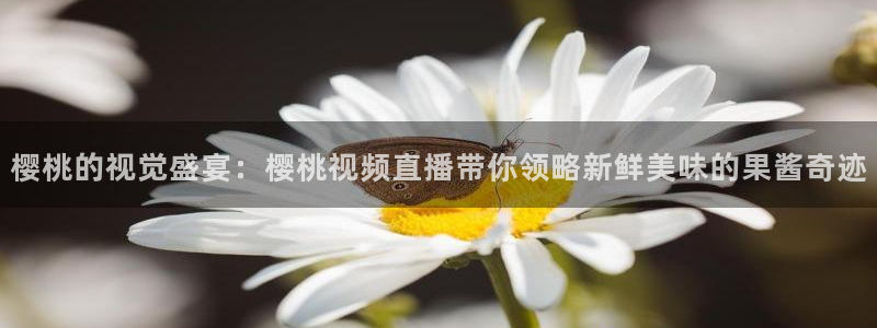 nba直播吧录像高清回放像：樱桃的视觉盛宴：樱桃视频直播带你领略新鲜美味的果酱奇迹