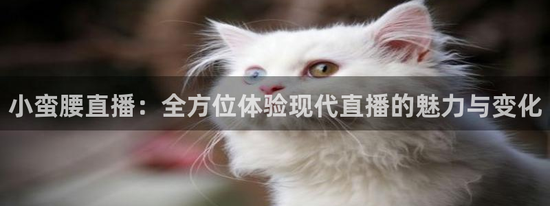 体育直播吧下载免费：小蛮腰直播：全方位体验现代直播的魅力与变化