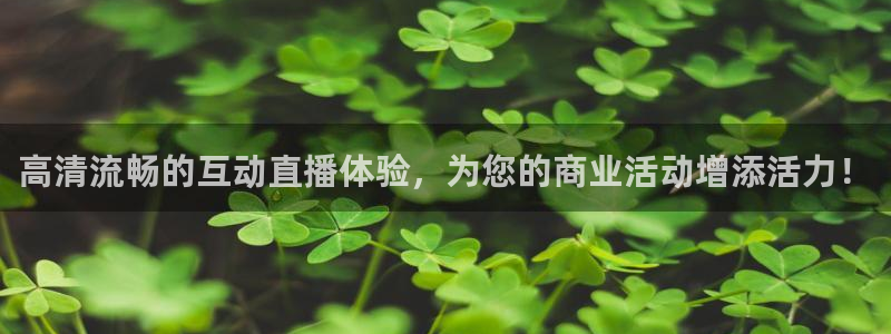 360体育足球直播吧：高清流畅的互动直播体验，为您的商业活动增添活力！