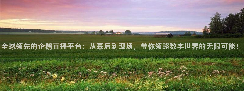 体育直播吧官网：全球领先的企鹅直播平台：从幕后到现场，带你领略数字世界的无限可能！