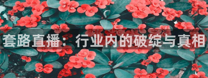 直播吧nba在线直播观看免费高清：套路直播：行业内的破绽与真相